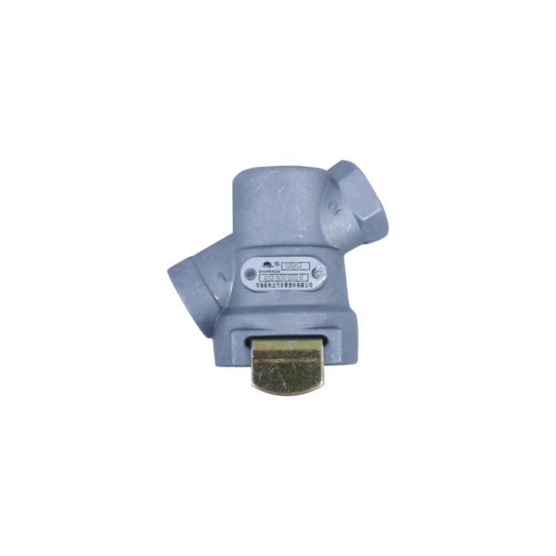 Truck Parts Air Filter Line Filter HEPA Filter Spare Parts 4325000200