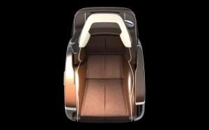 Luxury Chair with Massages for Sprinter Viano V250 Mecedes