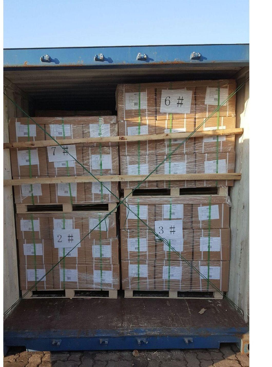 European Type Heavy Duty Stainless Steel Pipe Clamps