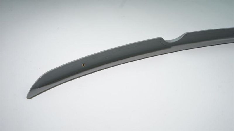 for Sentra 2020 2021+ Car Rear Spoiler Factory Design