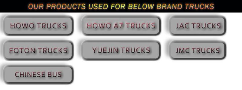 Good Quality Clutch Plate Wg9921161100 Used for Sinotruk HOWO Trucks