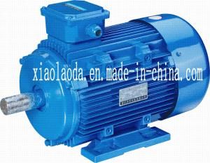 Three Phase Pole-Changing Multi-Speed Asynchronous Motor