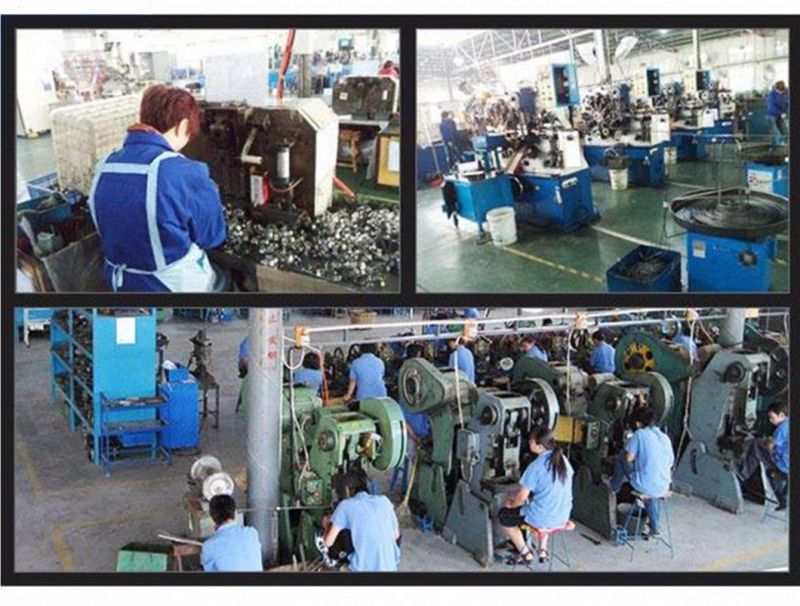 European Type Heavy Duty Stainless Steel Pipe Clamps