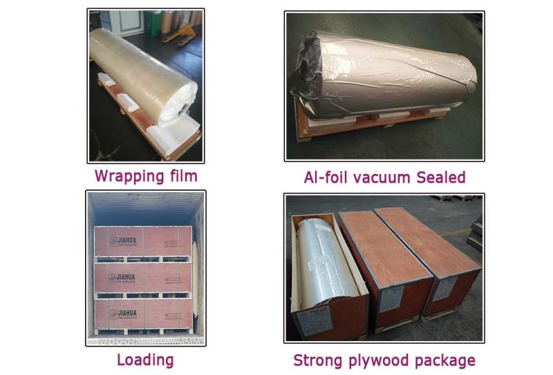 Clear Automotive PVB Film Windshield Glass