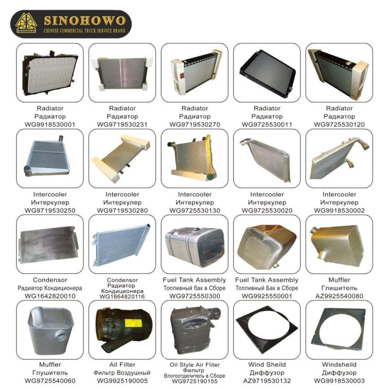 Truck Parts Battery Cover 199100760008 Used for HOWO Trucks