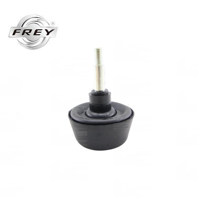 Frey Auto Parts Body System Door Check OE 9067400216 for Mercedes Sprinter 906