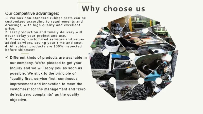 Customize Various Single Oil Seals/Assembly Oil Seals
