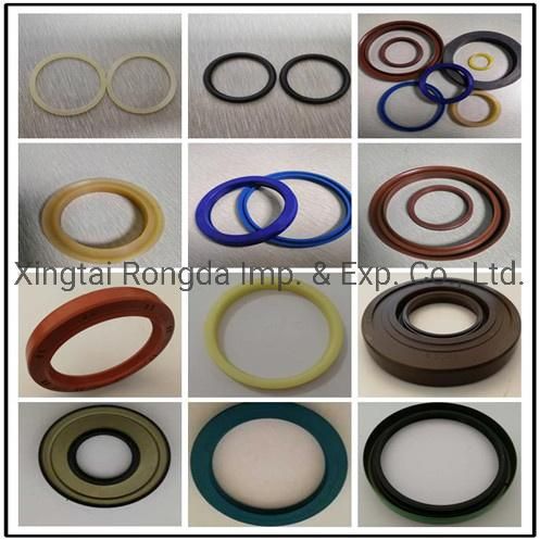 Customized NBR/Silicone/FKM Rubber Seal Double Lip