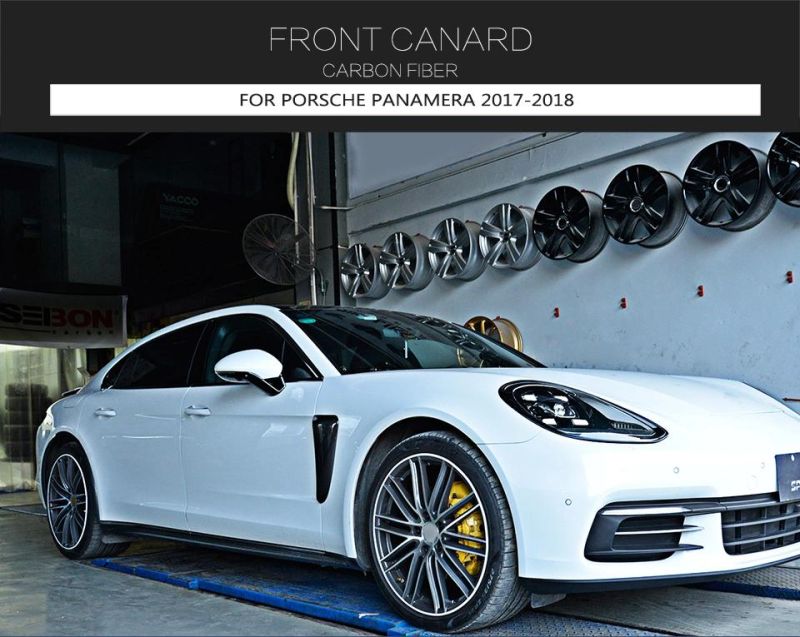 Dry Carbon Front Canard Moulding Trims for Porsche Panamera 2017-2018 (Fits: Panamera)