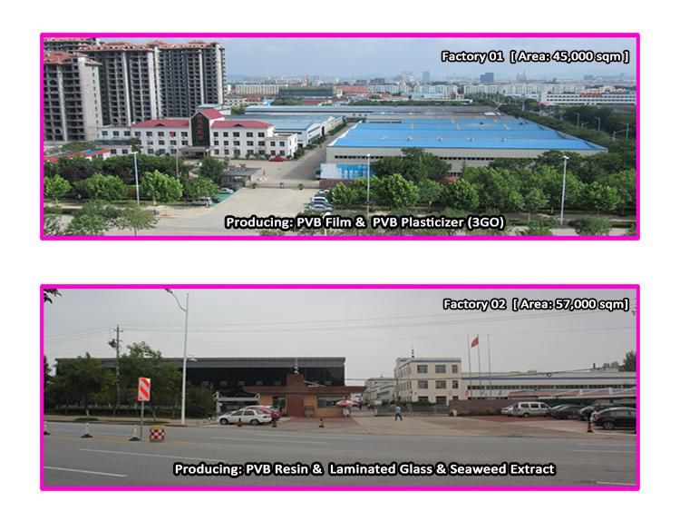 0.76mm PVB Film for Automobile Wind Glass Grey on Glreen