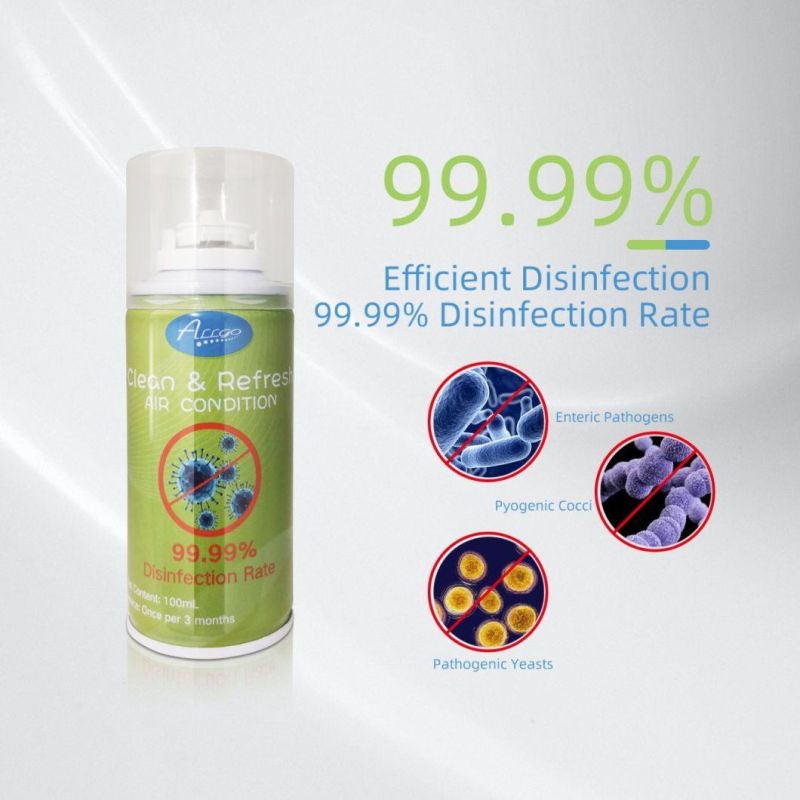 Car Air Conditioner Cleaner Disinfectant Ice Lotus Fragrance