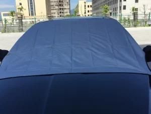 Front Side Best Sell Sun Shade