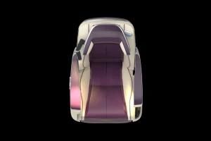 New Luxury Style Chair with Massage for Mercedes V250