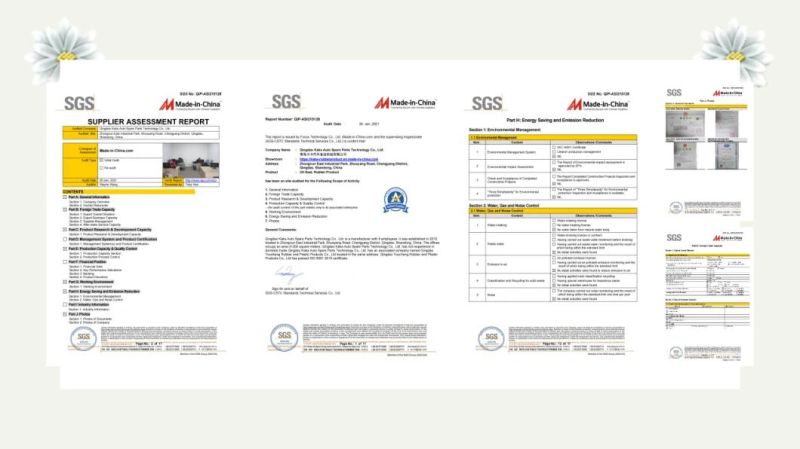 Customize Various Single Oil Seals/Assembly Oil Seals