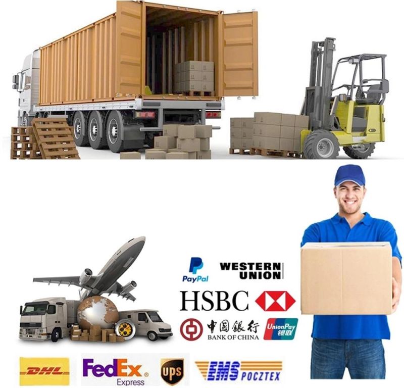 Sinotruk HOWO Truck Spare Parts Cabin Parts with SGS Certification