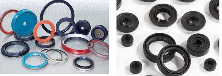 High Quality Manufacture China NBR Tc Auto Oil Seals