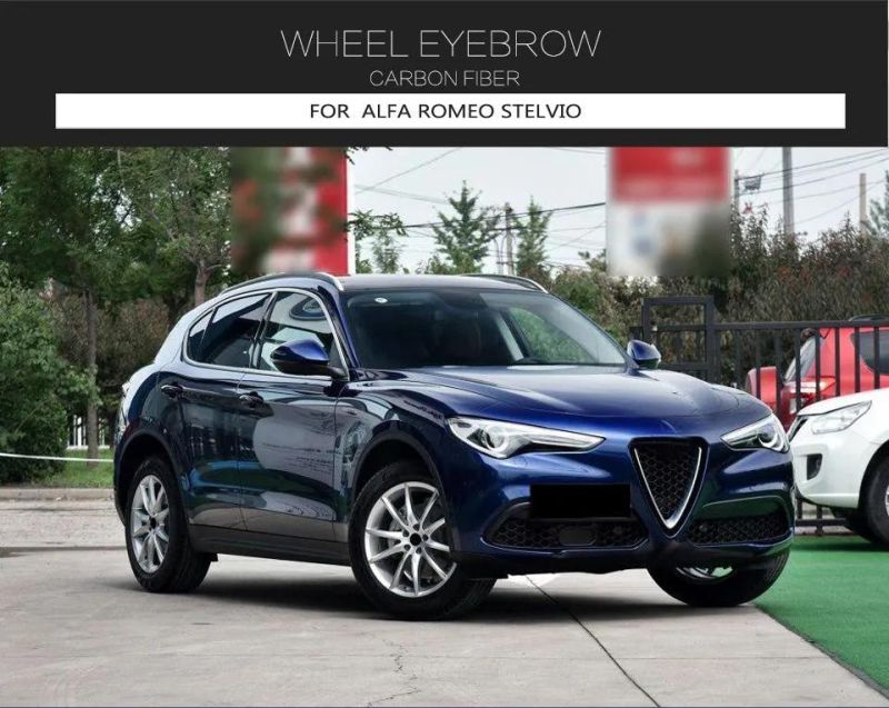 Pair Carbon Fiber Car Wheel Eyebrow Arch Trim Lips for Alfa Romeo Stelvio 2017-2019