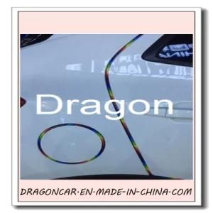 Edge Guard, Flexible Plastic Trim (PVC Material)