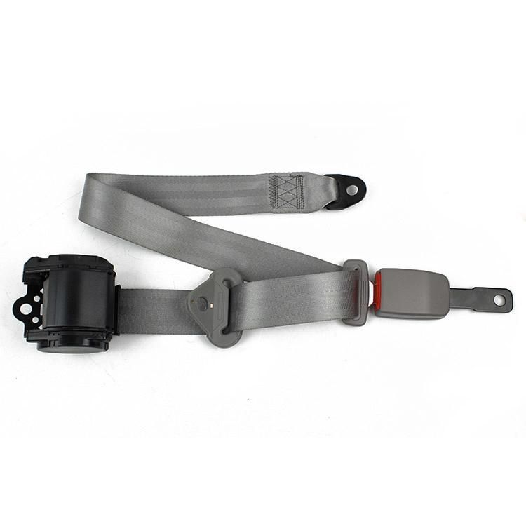 Feb003D-Gy OEM Supplier Automatic 3 Point Car Safety Belt