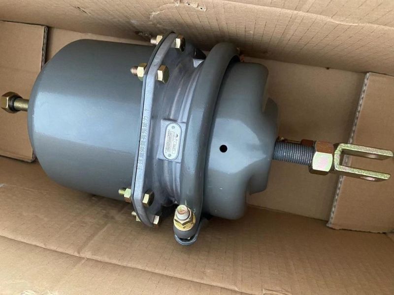 High Quality Brake System Brake Chamber Wg9000360600