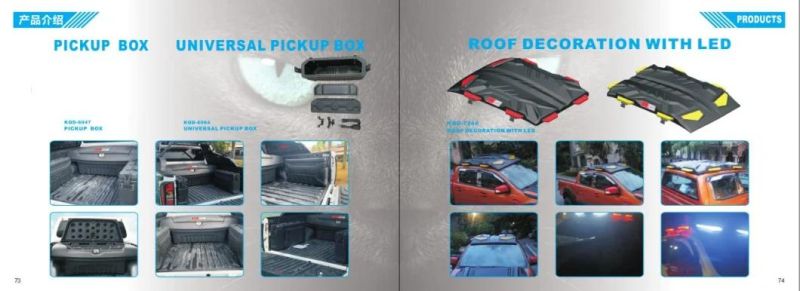 New Design Car Accessories Truck Tailgate Ladder for Ranger