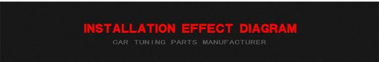 Carbon Fiber Front Lip Spoiler for Honda Civic 10th Type 16-17