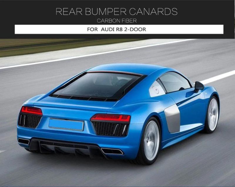 Carbon Fiber Rear Bumper Fins for Audi R8 2-Door 2016-2018