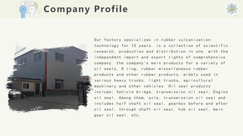 Customize Various Single Oil Seals/Assembly Oil Seals
