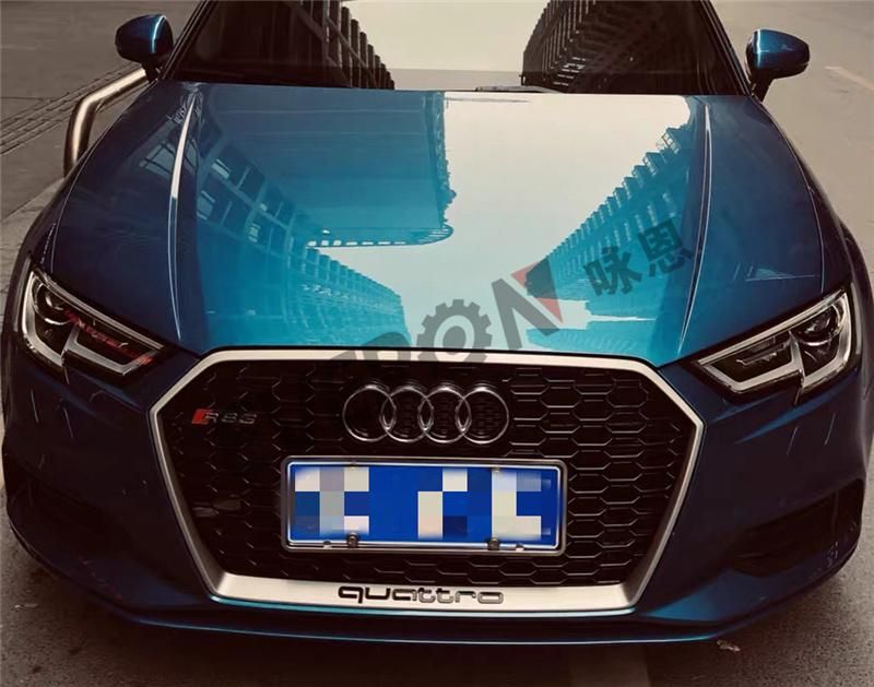 RS3 Style Front Bumper Grille for Audi A3 2017-2019