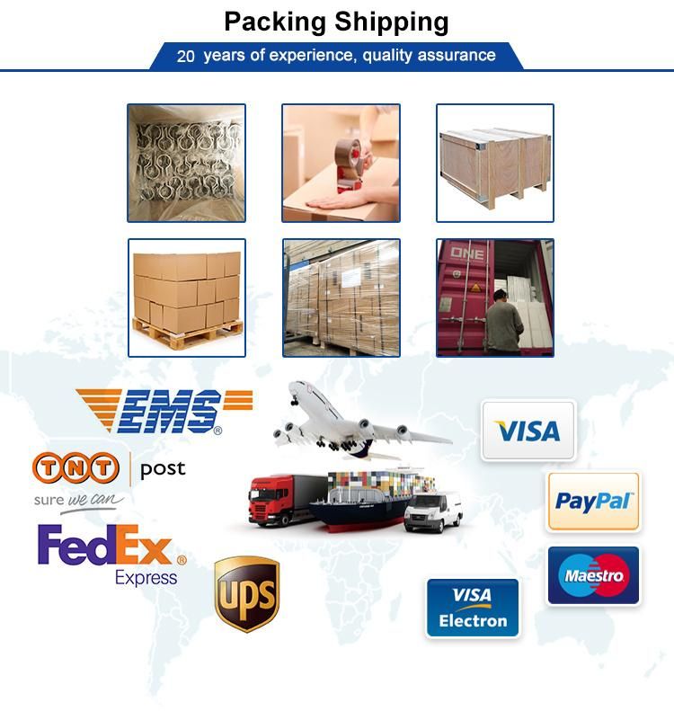 Customized High Quality Metal Stamping Parts for Electrical
