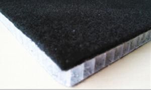 PP&Glassfiber Honeycomb Panel Used for Trunk Floor
