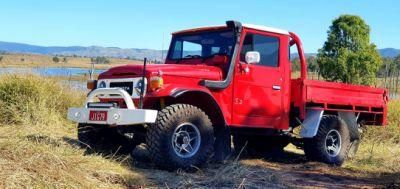 Toyota Hilux Ute Tray