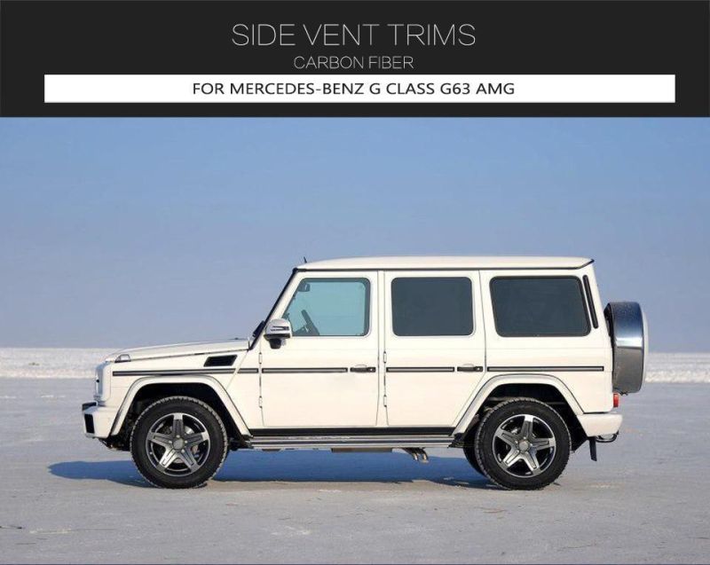Carbon Fiber Side Vent Trims Canards for Mercedes-Benz G Class G63 Amg 2019-2020