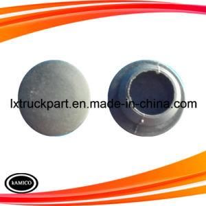 Sinotruk Hohan Truck Parts Front Handrail Plug Cap