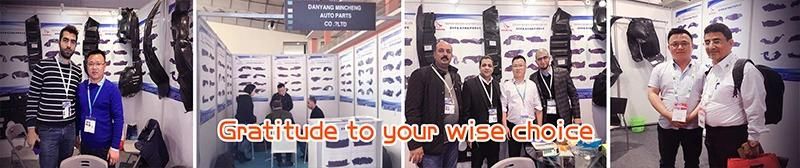 2016 Zhengzhou Manufacturer Mudflaps for Ren**Ault Kad**Jar Cars