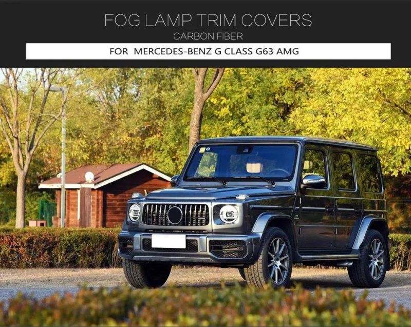 Carbon Fiber Fog Lamp Trims Covers for Benz Mercedes G Class Amg 2019