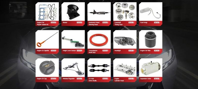 Bbmart Auto Parts High Quality Front Window Regulator Right for BMW E70 OE 51337166380