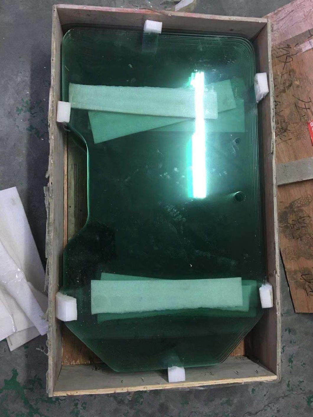 Window Cab Door Front Glass 6729284 for 463 S70
