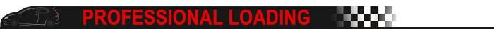 Car Parts Auto Accessory Rear Bumper Diffuser for Seat Ibiza Mk5 2017 2018 Bumper Spoiler Lip
