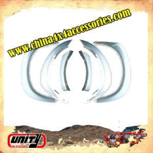 Isuzu Dmax Fender Flare (FF-DMAX07)