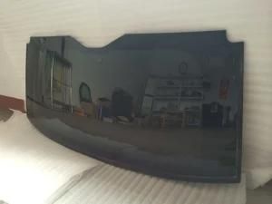 Auto Glass Sunroof Rear Windshield