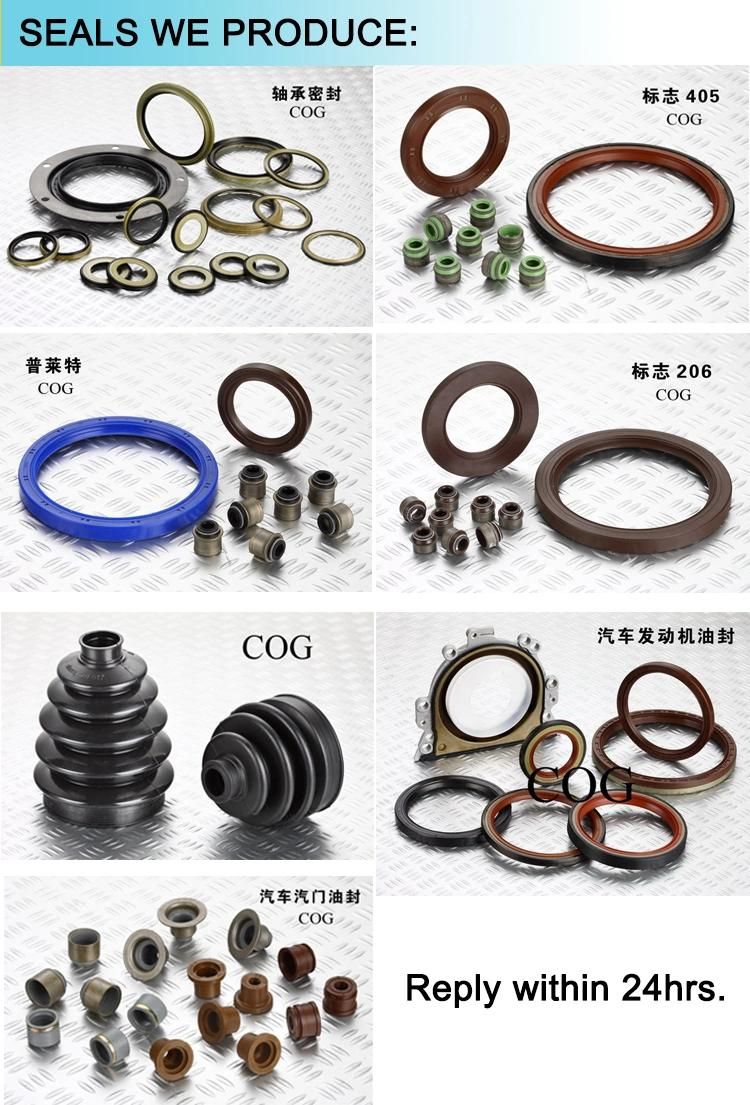 High Quality Manufacture China NBR Tc Auto Oil Seals