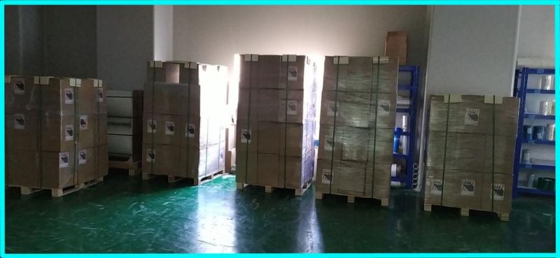 Wholesale Top Quality Carpet Film for Auto Application