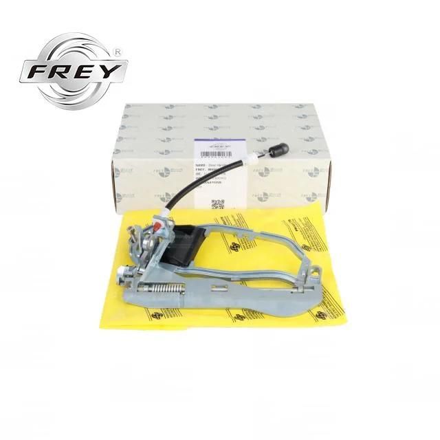 Hot Sale High Quality Frey Auto Rear Right Car Door Handle OEM 51228243636 for BMW E53